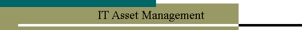 IT Asset Management