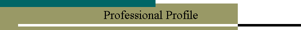 Professional Profile